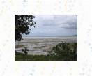 21-Low Tide * 500 x 375 * (48KB)